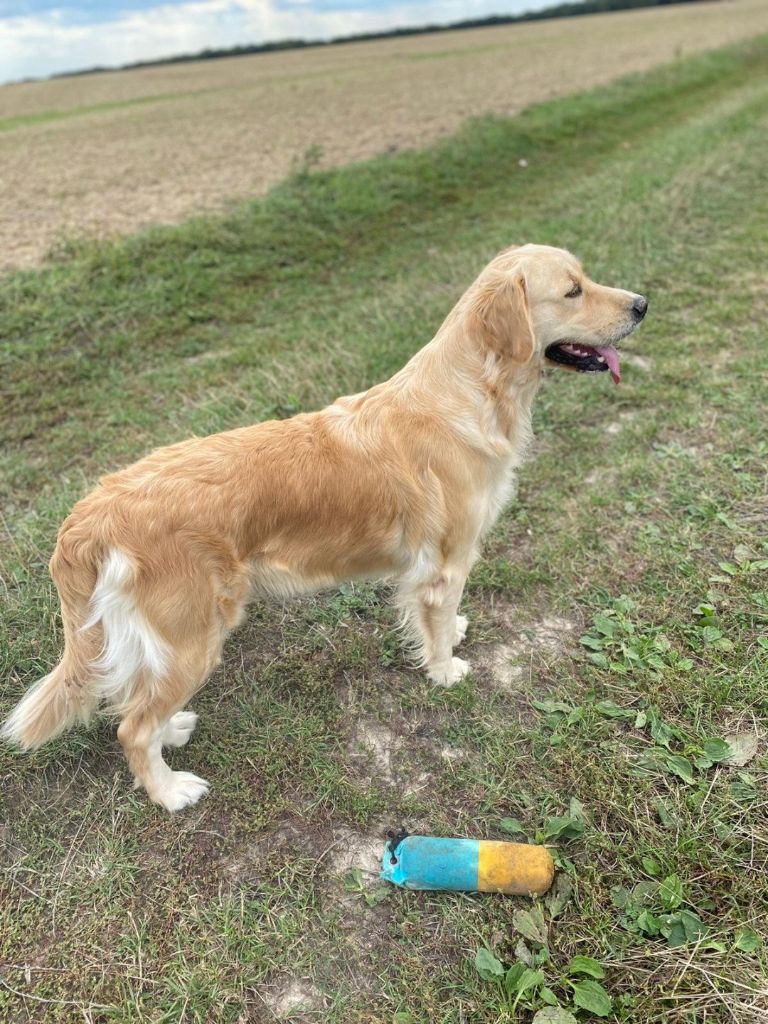 Rusty du Fond de la Noye